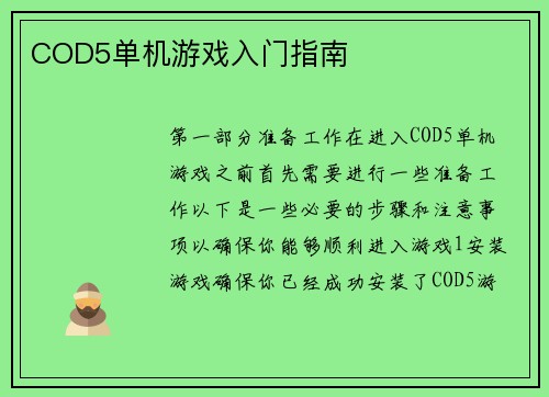 COD5单机游戏入门指南